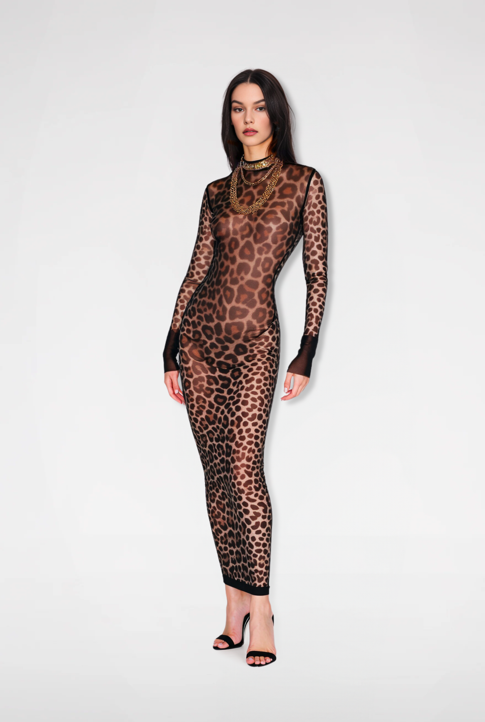 Naomi Leopard Print Sheer Maxi Dress - Brown/Black